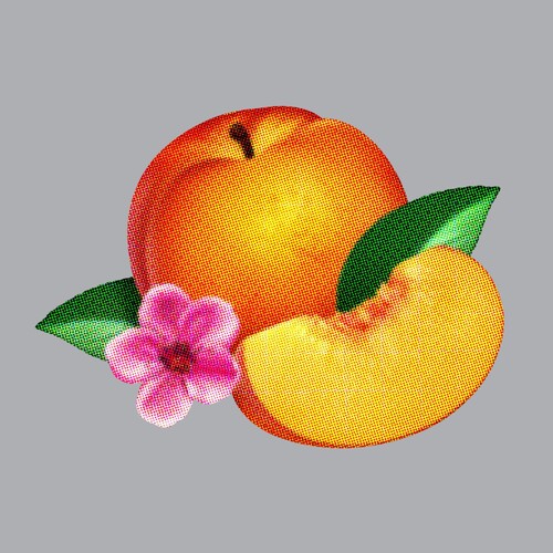 Phoenix: Bankrupt! - COMPACT DISCS