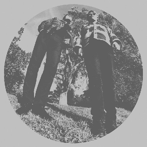 Ty Segall- Hair [LP] ( LP )