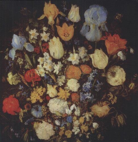 Young Moon- Navigated Like the Swan ( LP )