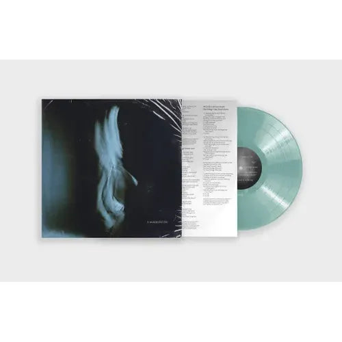 Tom Odell- A Wonderful Life (Indie Exclusive Vinyl) ( LP )