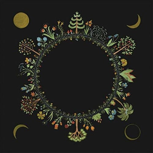 Laura Stevenson: Wheel - VINYL