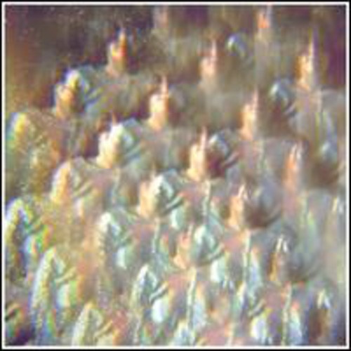 Stealing Sheep: Into the Diamond Sun { Record }