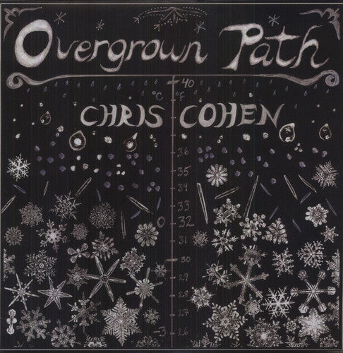 Chris Cohen: Overgrown Path - VINYL