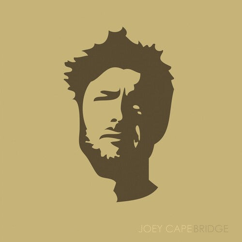 Joey Cape: Bridge { Record }