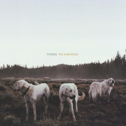 Foxing: Albatross - VINYL