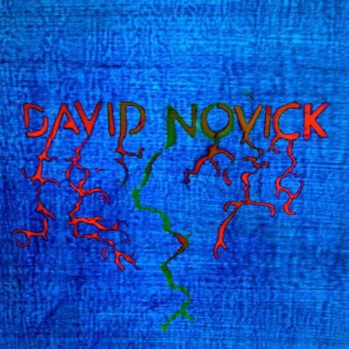 David Novick: David Novick { Record }