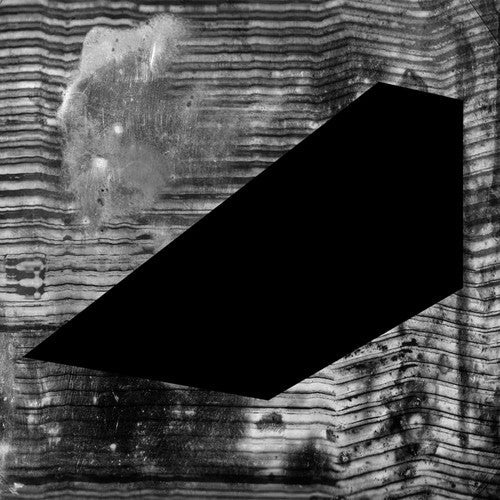D Tiberio: D Tiberio : 304 - VINYL