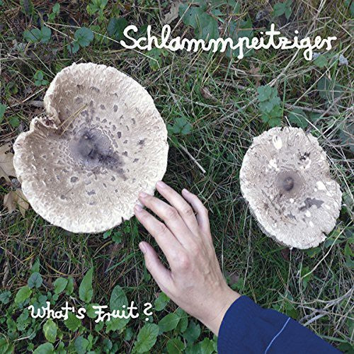Schlammpeitziger: Whats Fruit - VINYL