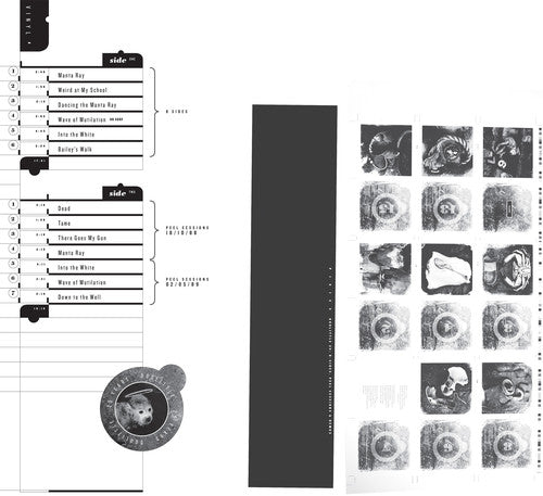 Pixies- Doolittle 25: B-Sides Peel Sessions & Demos ( LP )