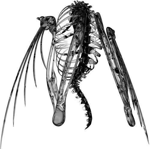 Lotic- Heterocetera ( LP )
