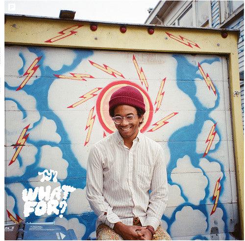 Toro y Moi- What for ( LP )