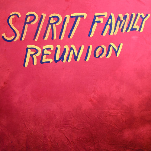 Spirit Family Reunion: Hands Together { Record }