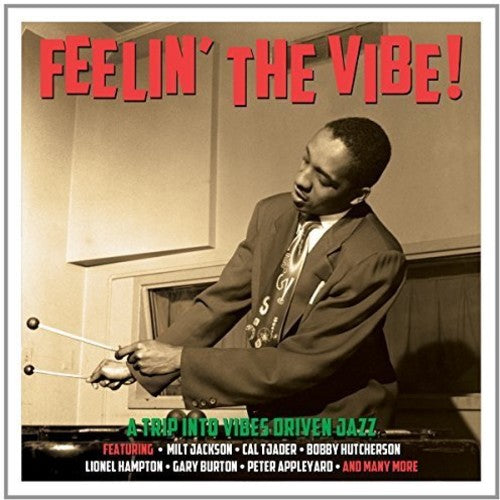 Various Artists: Feelin' the Vibe - CD