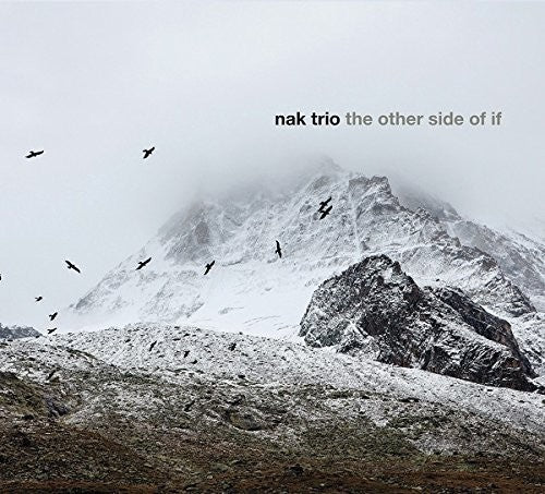 Nak Trio: The Other Side Of If - CD