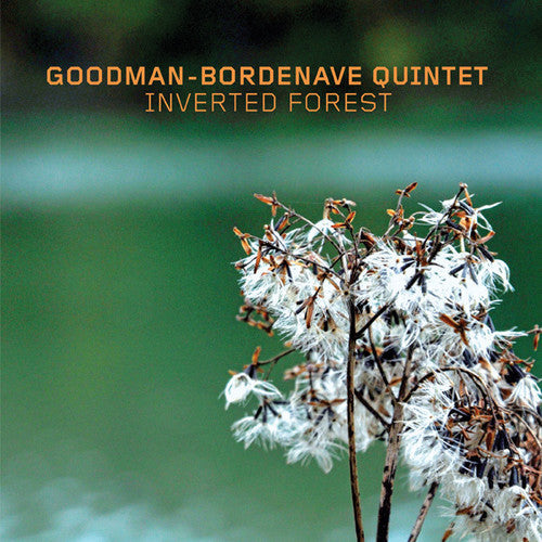 Goodman-Bordenave Quintet: Inverted Forest - CD