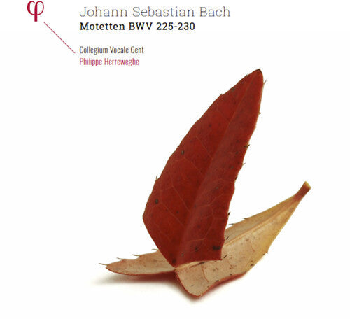 Bach, J.S. / Collegium Vocale Gent / Herreweghe: Johann Sebastian Bach: Motetten BWV 225-230 { Record }