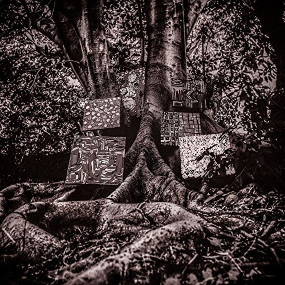 Kamasi Washington- Harmony Of Difference [LP] ( LP )