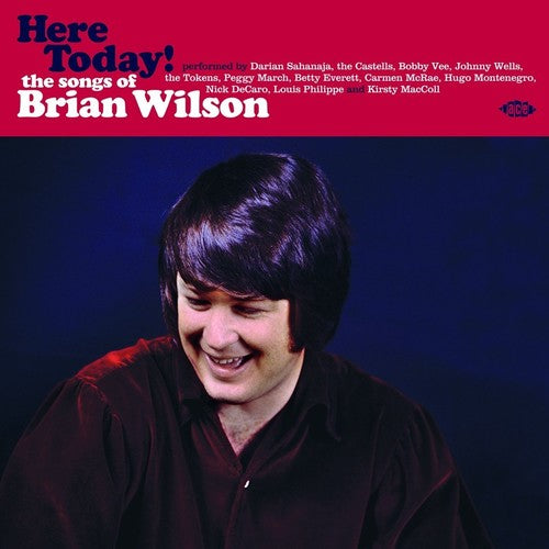 Here Today! Songs Of Brian Wilson / Various Uk- Here Today! Songs Of Brian Wilson / Various ( LP )
