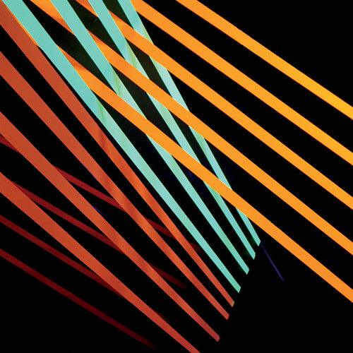 Shit Robot- What Follows ( LP )