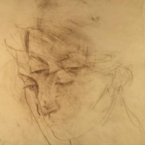 Joan Shelley- Cost Of Cold / Here And Whole ( LP )