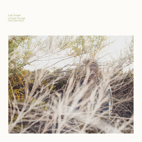 Luke Temple- A Hand Through The Cellar Door ( LP )