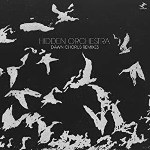 Hidden Orchestra: Dawn Chorus { Record }