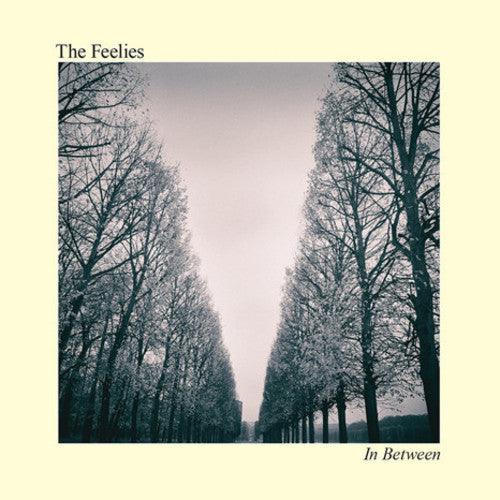 The Feelies- In Between ( LP )