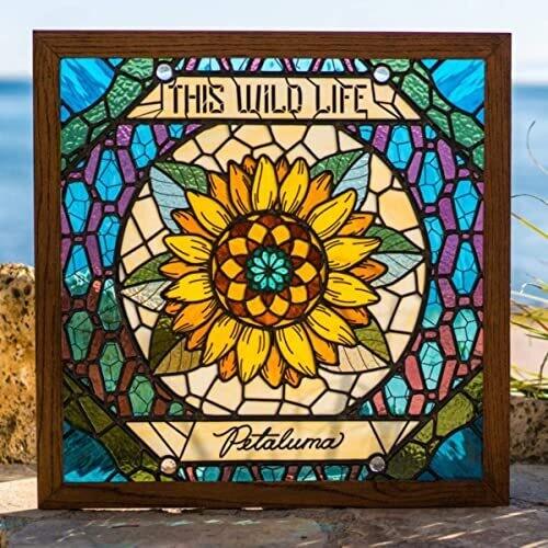 This Wild Life- Petaluma ( LP )