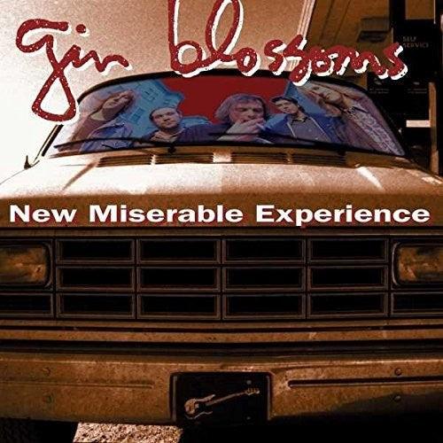 Gin Blossoms- New Miserable Experience ( LP )