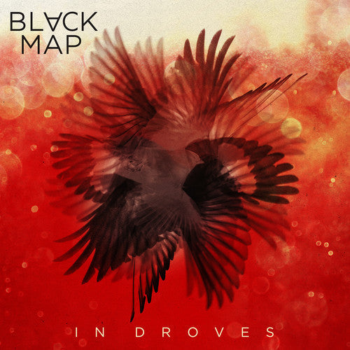 Black Map: In Droves - VINYL
