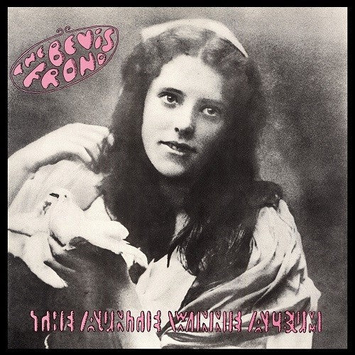 The Bevis Frond- The Auntie Winnie Album ( LP )