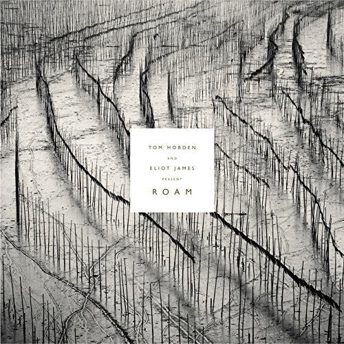 Tom Hobden: Present: Roam { Record }