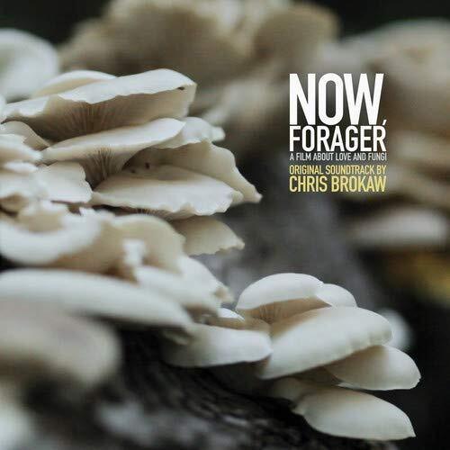 Chris Brokaw- Now Forager (Original Soundtrack) ( LP )