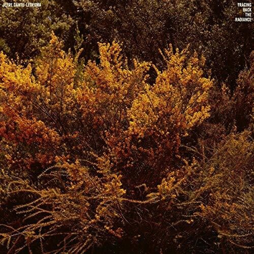 Jefre Cantu-Ledesma: Tracing Back The Radiance { Record }