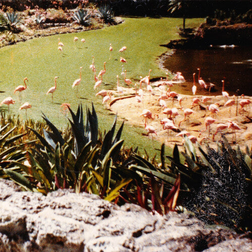 Imaginary Softwoods: Gold Fiction Loop Garden { Record }