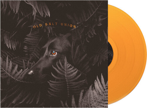Old Salt Union: Where The Dogs Don't Bite { Record }