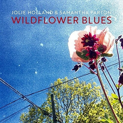 Jolie Holland: Wildflower Blues { Record }