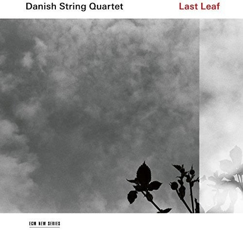 Danish String Quartet: Last Leaf - COMPACT DISCS