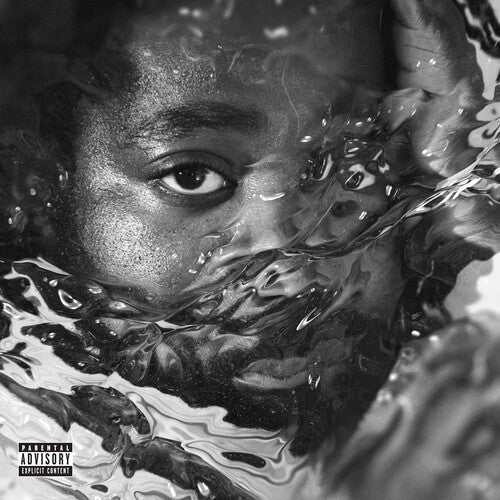 R.LUM.R: Surfacing - CD