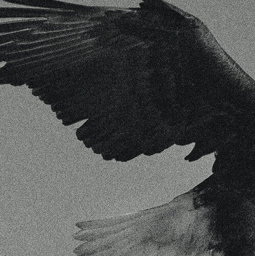 Dissemblance: Over The Sand { Record }
