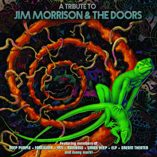 Various Artists: A Tribute To Jim Morrison & The Doors (Various Artists) - VINYL
