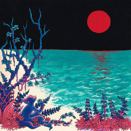 Glass Beach: the first glass beach album - CD