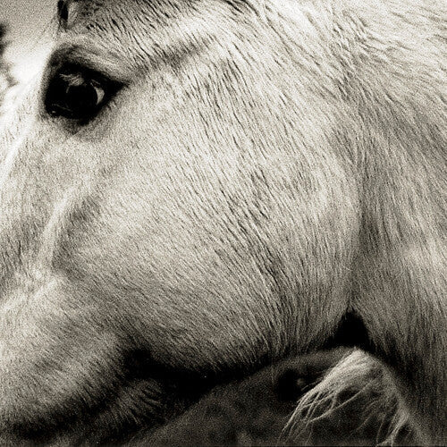 Bonny Light Horseman: Bonny Light Horseman { Record }
