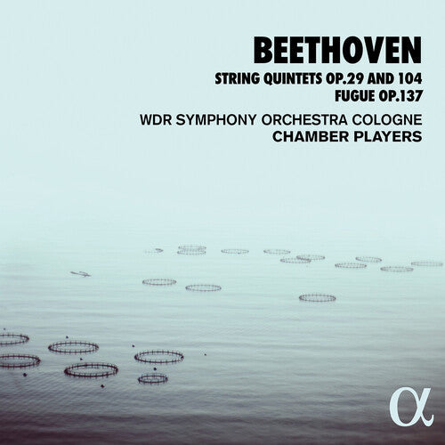 Wdr Sinfonieorchester Cologne Chamber Players: String Quintets 29 & 104 - COMPACT DISCS