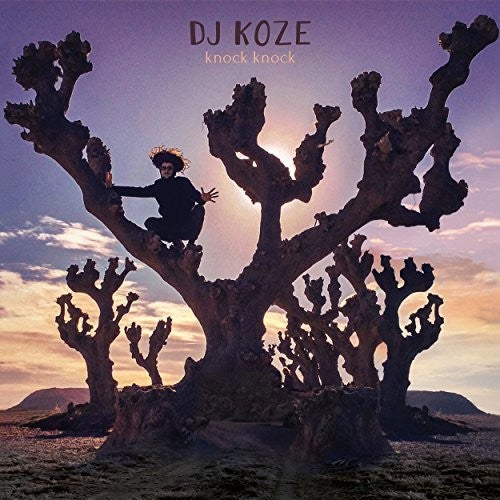 DJ Koze: Knock Knock { Record }