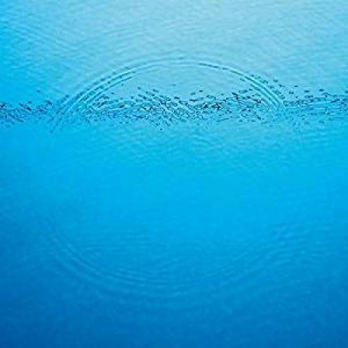 Caribou- Suddenly ( LP )