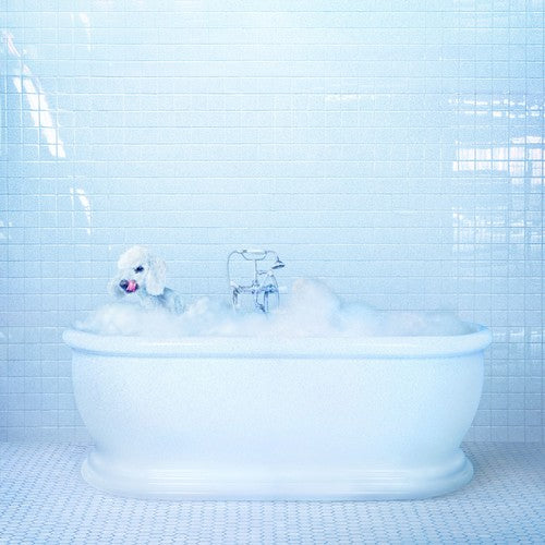 Frankie Cosmos: Vessel - VINYL