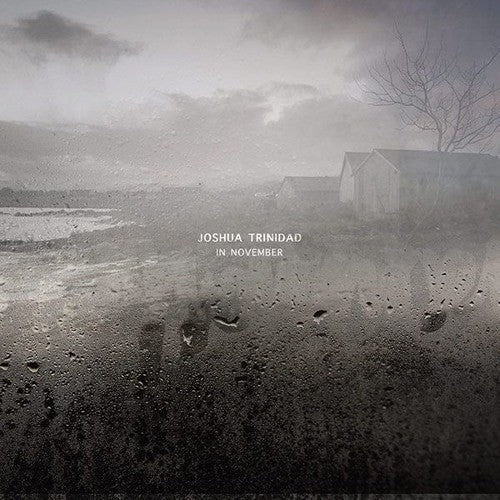Joshua Trinidad- In November [180 Gram] ( LP )