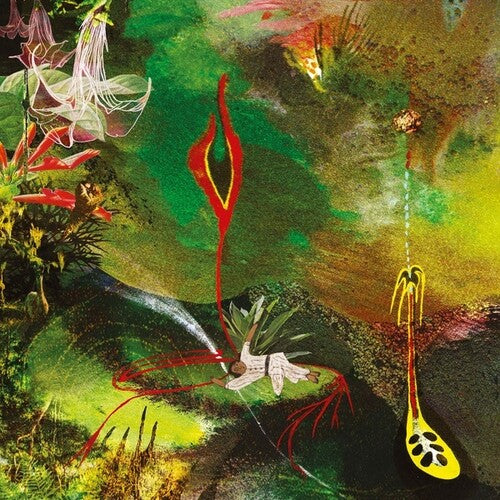 Tomas Tello: Cimora { Record }