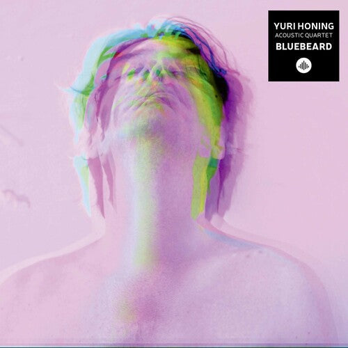 Yuri Honing Acoustic Quartet: Bluebeard - COMPACT DISCS